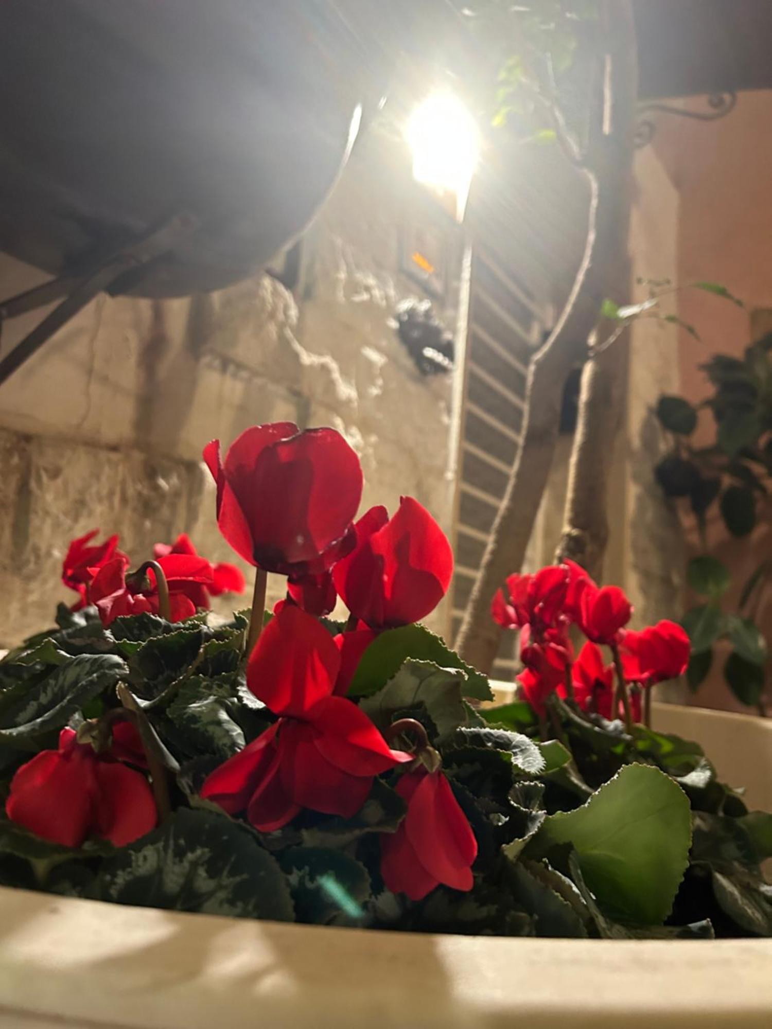 Vecchia R Pensión